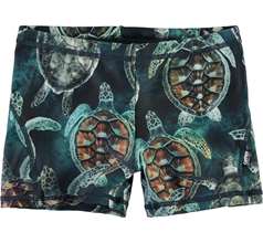 Norton Swimwear